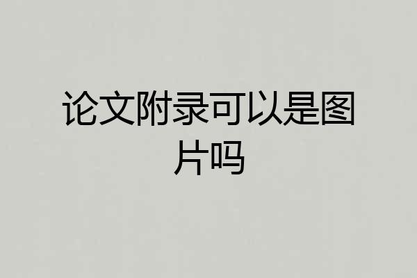 论文附录可以是图片吗