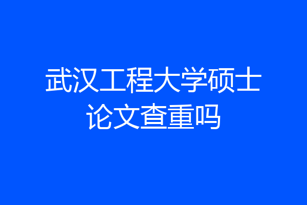 武汉工程大学硕士论文查重吗