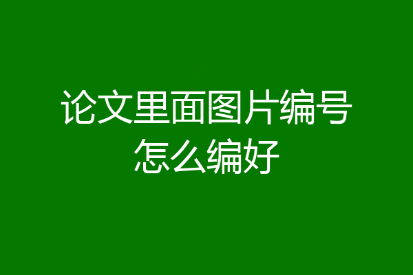 论文里面图片编号怎么编好