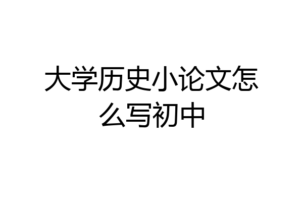 大学历史小论文怎么写初中