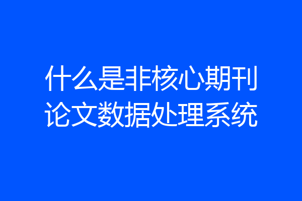 什么是非核心期刊论文数据处理系统