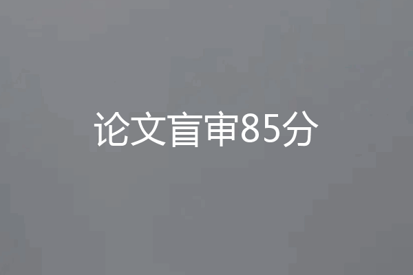 论文盲审85分