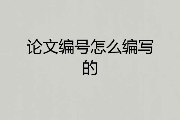 论文编号怎么编写的