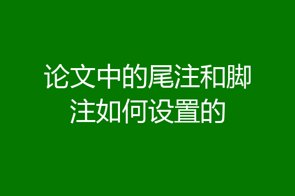论文中的尾注和脚注如何设置的