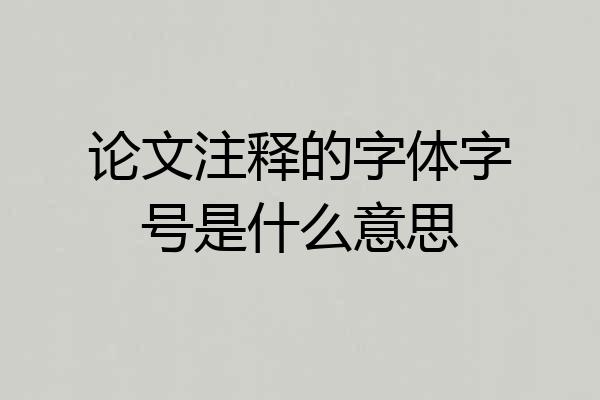 论文注释的字体字号是什么意思