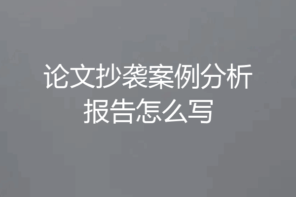 论文抄袭案例分析报告怎么写
