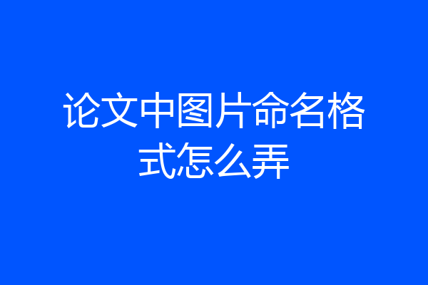 论文中图片命名格式怎么弄