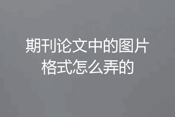 期刊论文中的图片格式怎么弄的