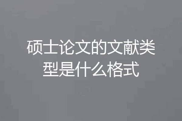 硕士论文的文献类型是什么格式
