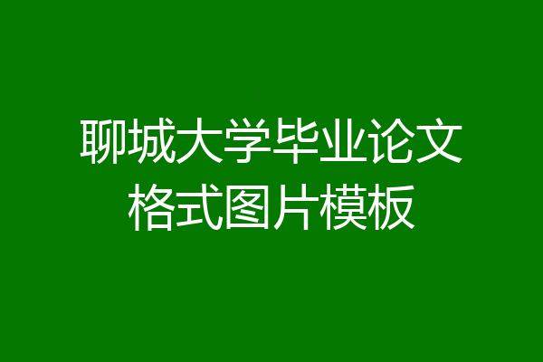 聊城大学毕业论文格式图片模板