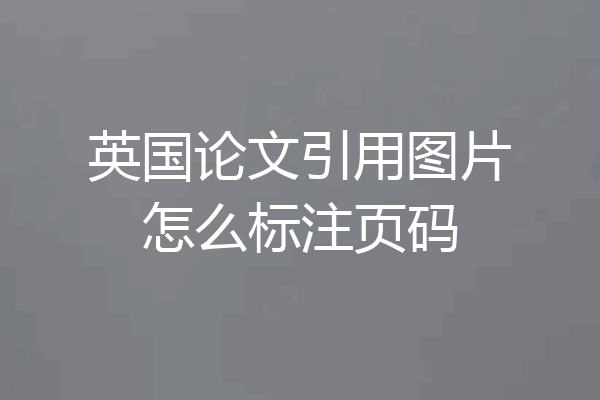 英国论文引用图片怎么标注页码