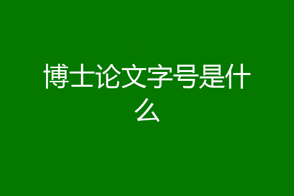 博士论文字号是什么