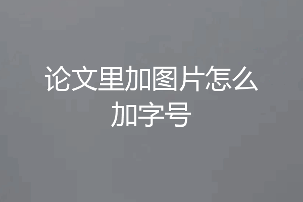 论文里加图片怎么加字号