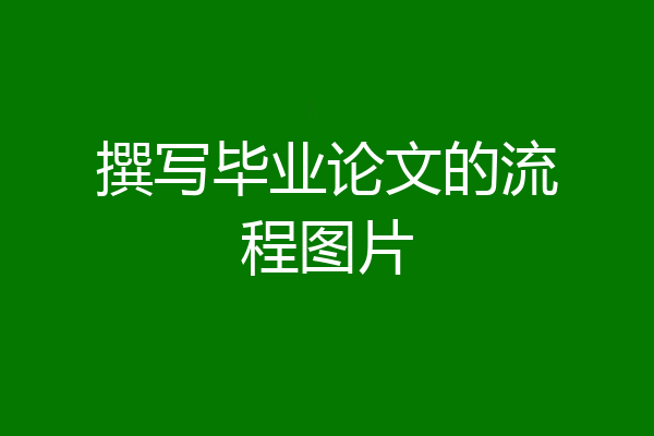 撰写毕业论文的流程图片