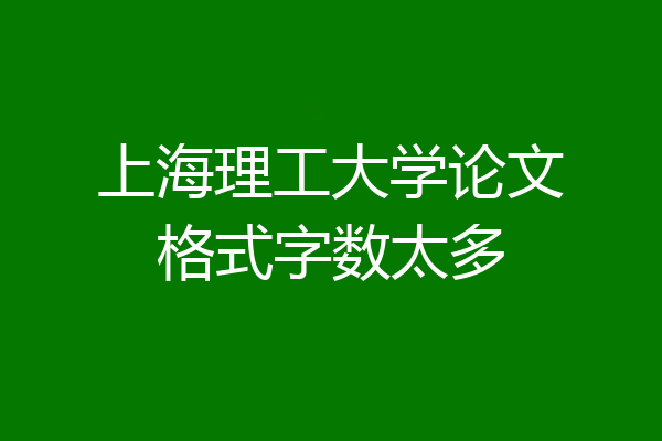 上海理工大学论文格式字数太多