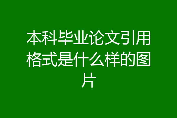 本科毕业论文引用格式是什么样的图片