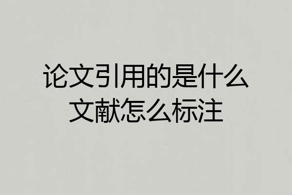 论文引用的是什么文献怎么标注