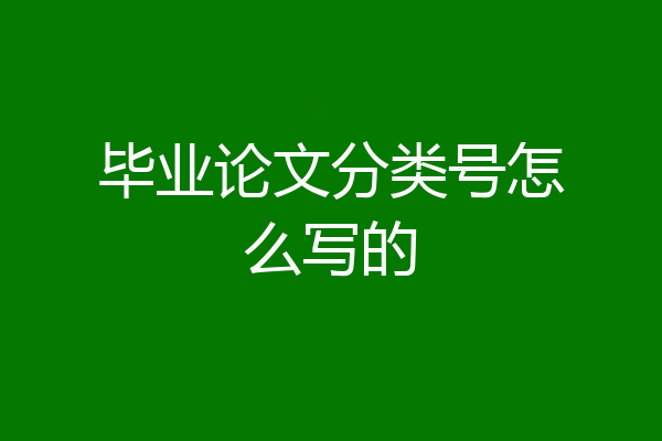 毕业论文分类号怎么写的
