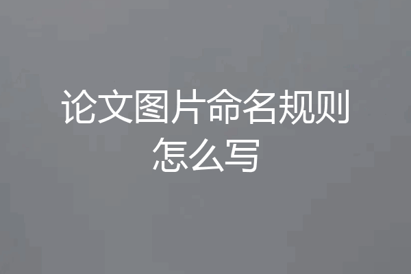 论文图片命名规则怎么写