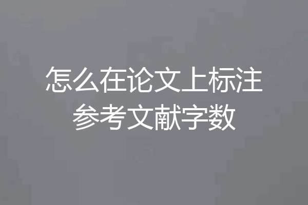 怎么在论文上标注参考文献字数