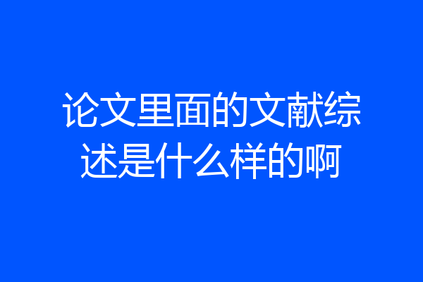 论文里面的文献综述是什么样的啊