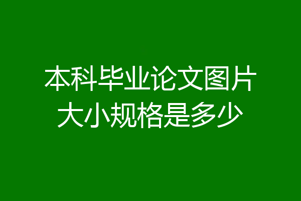本科毕业论文图片大小规格是多少