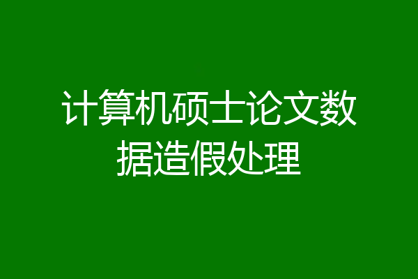 计算机硕士论文数据造假处理
