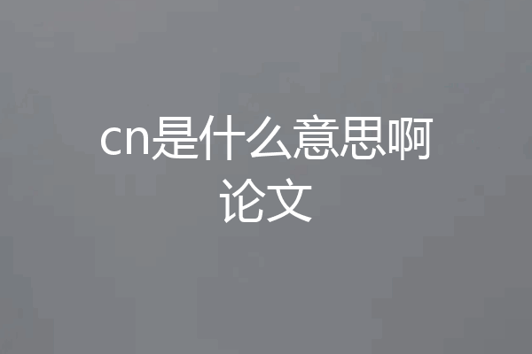 cn是什么意思啊论文