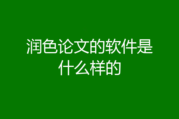 润色论文的软件是什么样的