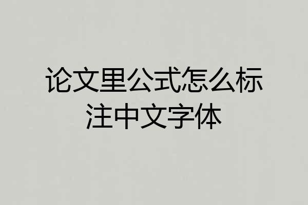 论文里公式怎么标注中文字体