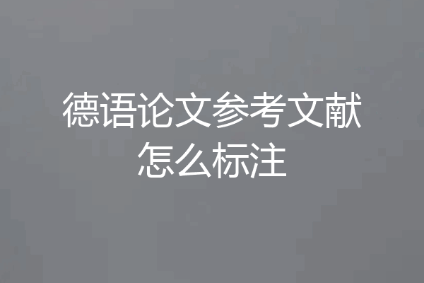 德语论文参考文献怎么标注
