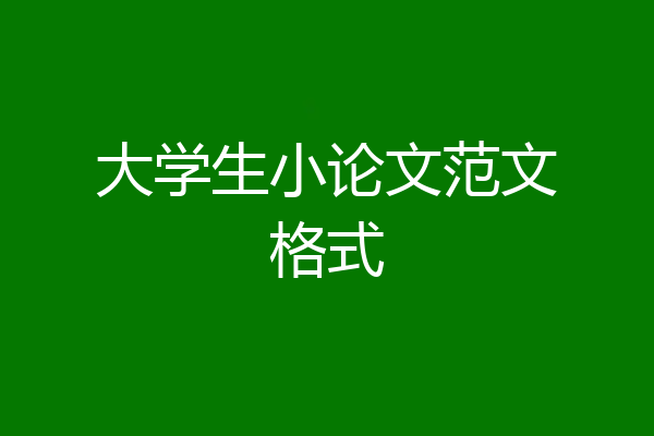 大学生小论文范文格式