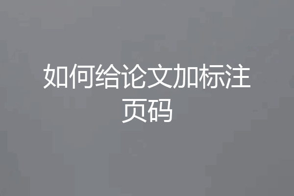 如何给论文加标注页码