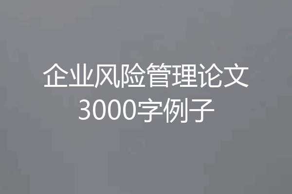 企业风险管理论文3000字例子