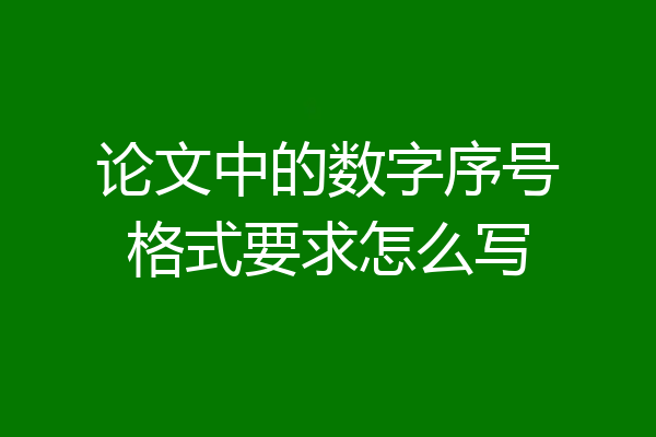 论文中的数字序号格式要求怎么写