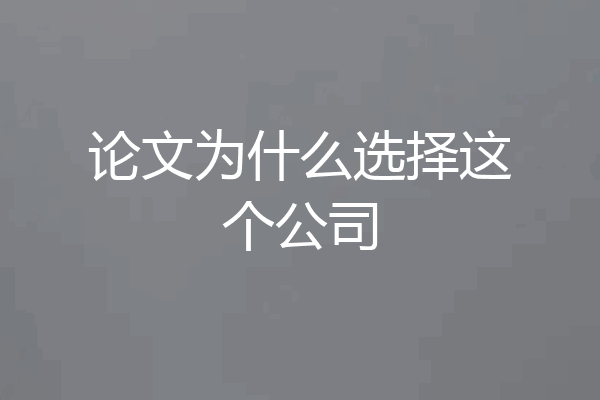 论文为什么选择这个公司