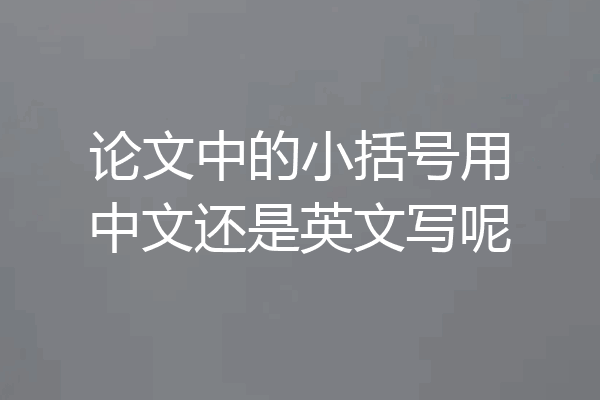 论文中的小括号用中文还是英文写呢