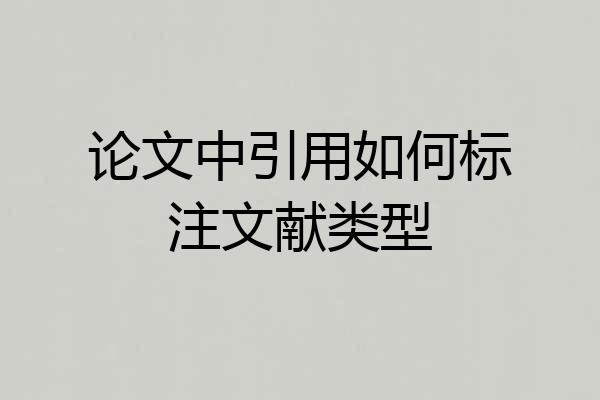 论文中引用如何标注文献类型