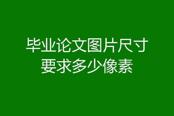 毕业论文图片尺寸要求多少像素