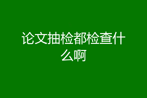 论文抽检都检查什么啊