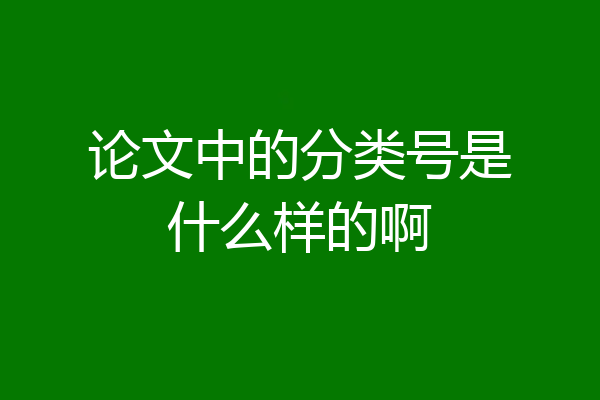 论文中的分类号是什么样的啊