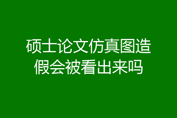 硕士论文仿真图造假会被看出来吗