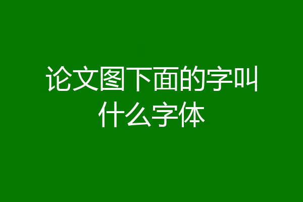 论文图下面的字叫什么字体