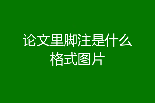 论文里脚注是什么格式图片