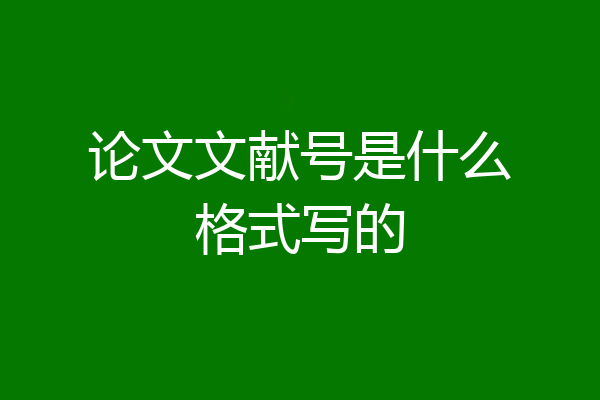 论文文献号是什么格式写的