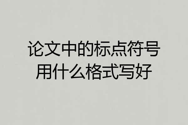 论文中的标点符号用什么格式写好