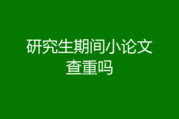 研究生期间小论文查重吗