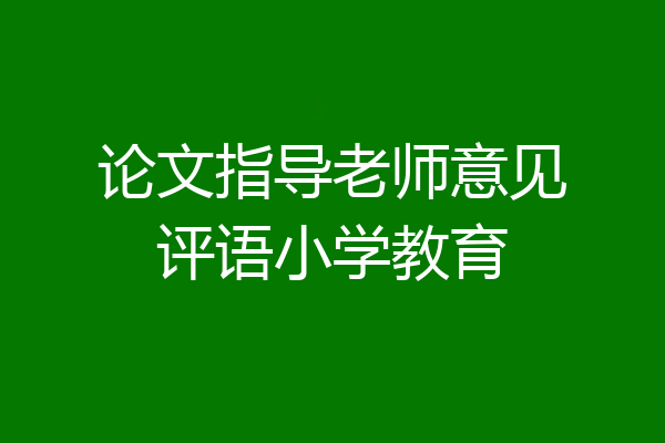 论文指导老师意见评语小学教育