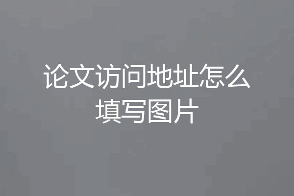 论文访问地址怎么填写图片
