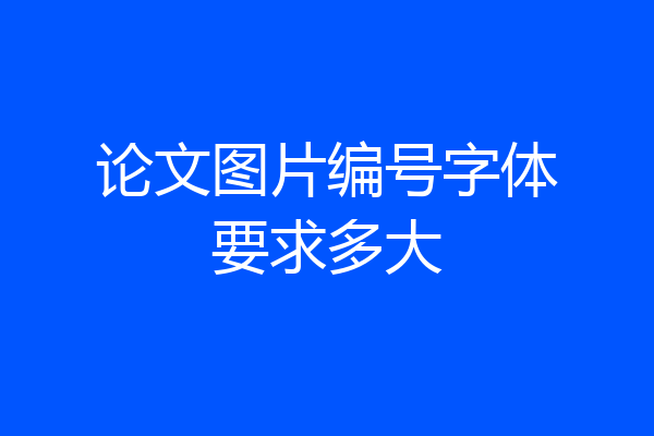 论文图片编号字体要求多大